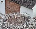 Capi_Dubne_20260726_051502.jpg