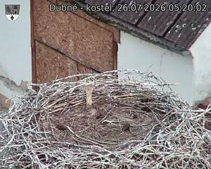 Capi_Dubne_20260726_052002.jpg (1350&nbsp;x&nbsp;1080)
