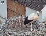 Capi_Dubne_20260726_055004.jpg