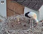 Capi_Dubne_20260726_060002.jpg