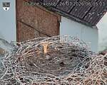 Capi_Dubne_20260726_060503.jpg