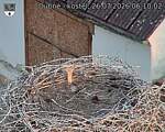 Capi_Dubne_20260726_061002.jpg