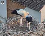 Capi_Dubne_20260726_062004.jpg