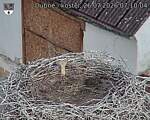 Capi_Dubne_20260726_071004.jpg