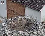 Capi_Dubne_20260726_071504.jpg
