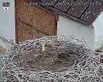 Capi_Dubne_20260726_073504.jpg