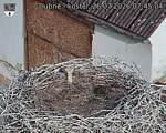 Capi_Dubne_20260726_074504.jpg
