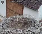 Capi_Dubne_20260726_080003.jpg