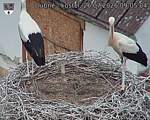 Capi_Dubne_20260726_090504.jpg