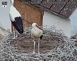 Capi_Dubne_20260726_091004.jpg