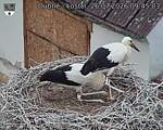 Capi_Dubne_20260726_094503.jpg