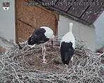 Capi_Dubne_20260726_100003.jpg