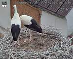 Capi_Dubne_20260726_101504.jpg
