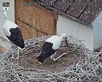 Capi_Dubne_20260726_114003.jpg