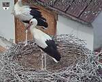Capi_Dubne_20260726_120003.jpg