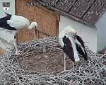 Capi_Dubne_20260726_121502.jpg