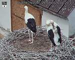 Capi_Dubne_20260726_122003.jpg