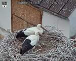 Capi_Dubne_20260726_125003.jpg
