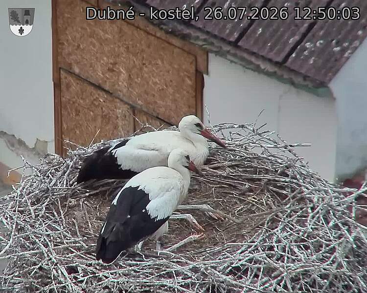 preload