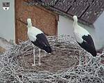 Capi_Dubne_20260726_130503.jpg