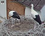 Capi_Dubne_20260726_131003.jpg