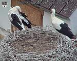 Capi_Dubne_20260726_131502.jpg