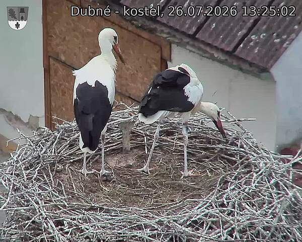 preload