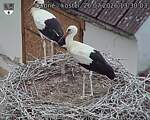Capi_Dubne_20260726_133003.jpg