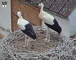 Capi_Dubne_20260726_134003.jpg