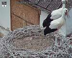 Capi_Dubne_20260726_143504.jpg