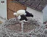 Capi_Dubne_20260726_150503.jpg