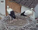 Capi_Dubne_20260726_153503.jpg