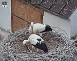 Capi_Dubne_20260726_161502.jpg