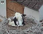 Capi_Dubne_20260726_164502.jpg