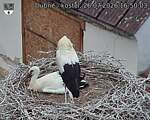 Capi_Dubne_20260726_165003.jpg