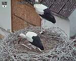 Capi_Dubne_20260726_170502.jpg