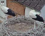 Capi_Dubne_20260726_175003.jpg