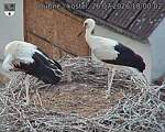 Capi_Dubne_20260726_180002.jpg