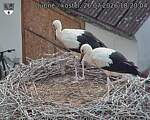 Capi_Dubne_20260726_182004.jpg