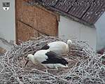 Capi_Dubne_20260726_182502.jpg