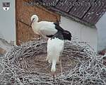 Capi_Dubne_20260726_190503.jpg