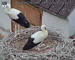 Capi_Dubne_20260726_192003.jpg