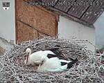 Capi_Dubne_20260726_204003.jpg