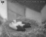 Capi_Dubne_20260726_212002.jpg