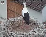 Capi_Dubne_20260727_054003.jpg