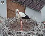 Capi_Dubne_20260727_060003.jpg