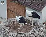Capi_Dubne_20260727_060503.jpg