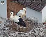 Capi_Dubne_20260727_063003.jpg