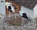 Capi_Dubne_20260727_063503.jpg