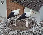 Capi_Dubne_20260727_071003.jpg